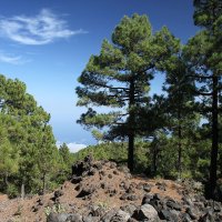 Cumbre Vieja