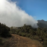 Cumbre Vieja