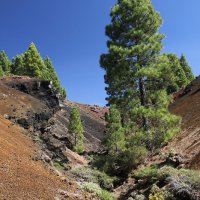 Pico Birigoyo