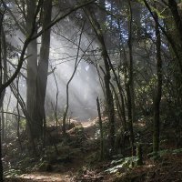Cumbre Vieja